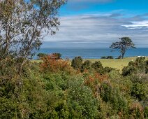 IMG_5761 1110/2019 - Non loin de notre camping préféré Los Liles, il reste encore de belles parcelles pour ceux qui veulent s'offrir un p'tit coin de paradis au-dessus...